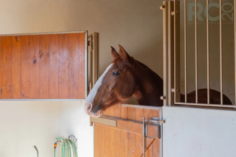 Quinta T0 para Venda em Quiaios Foto 15