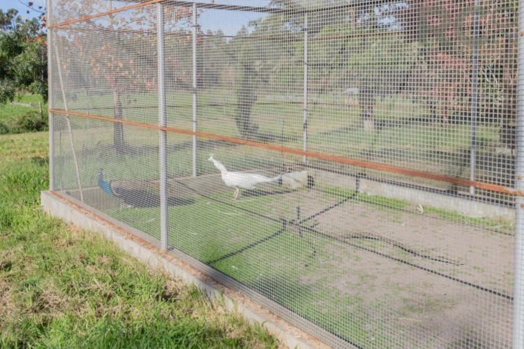 Quinta T0 para Venda em Quiaios Foto 31