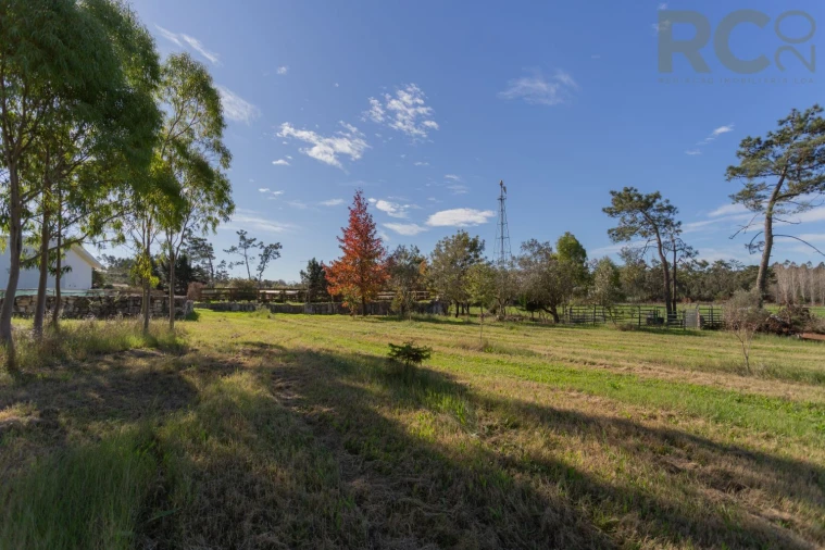 Quinta T0 para Venda em Quiaios Foto 45