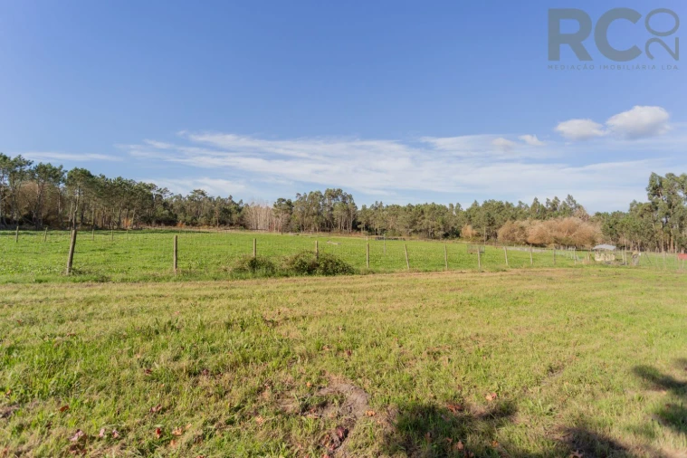 Quinta T0 para Venda em Quiaios Foto 29