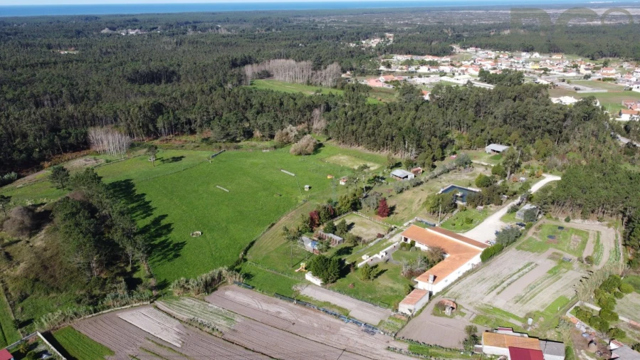 Quinta T0 para Venda em Quiaios Foto 55