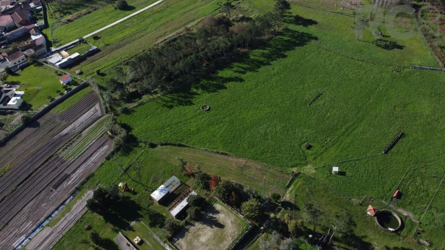 Quinta T0 para Venda em Quiaios Foto 51