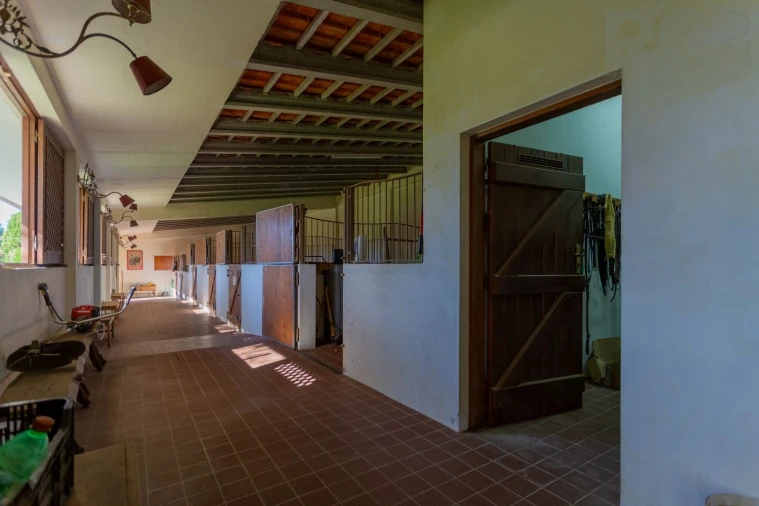 Quinta T0 para Venda em Quiaios Foto 14