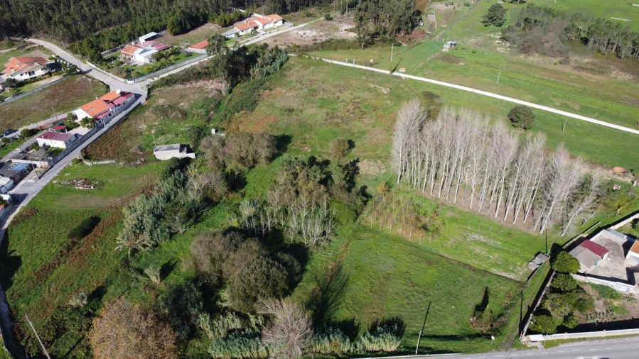 Quinta T0 para Venda em Quiaios Foto 56