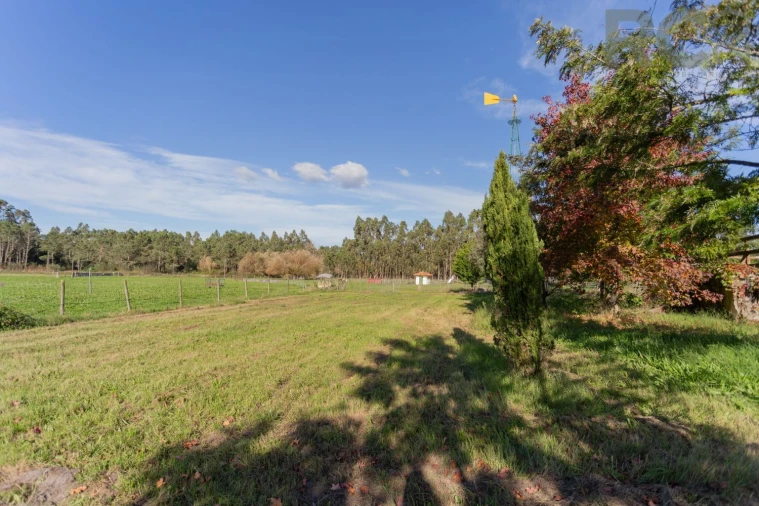 Quinta T0 para Venda em Quiaios Foto 30