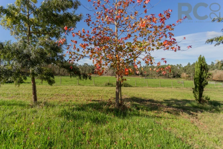 Quinta T0 para Venda em Quiaios Foto 27