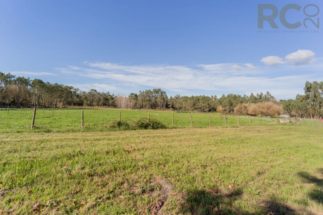 Quinta T0 para Venda em Quiaios Foto 29