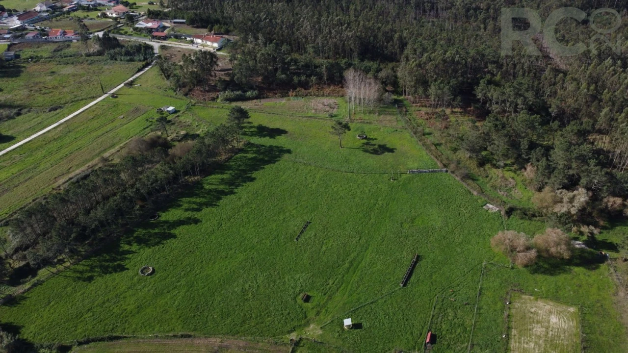 Quinta T0 para Venda em Quiaios Foto 52