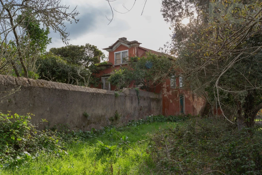 Quinta T0 para Venda em Tavarede Foto 22