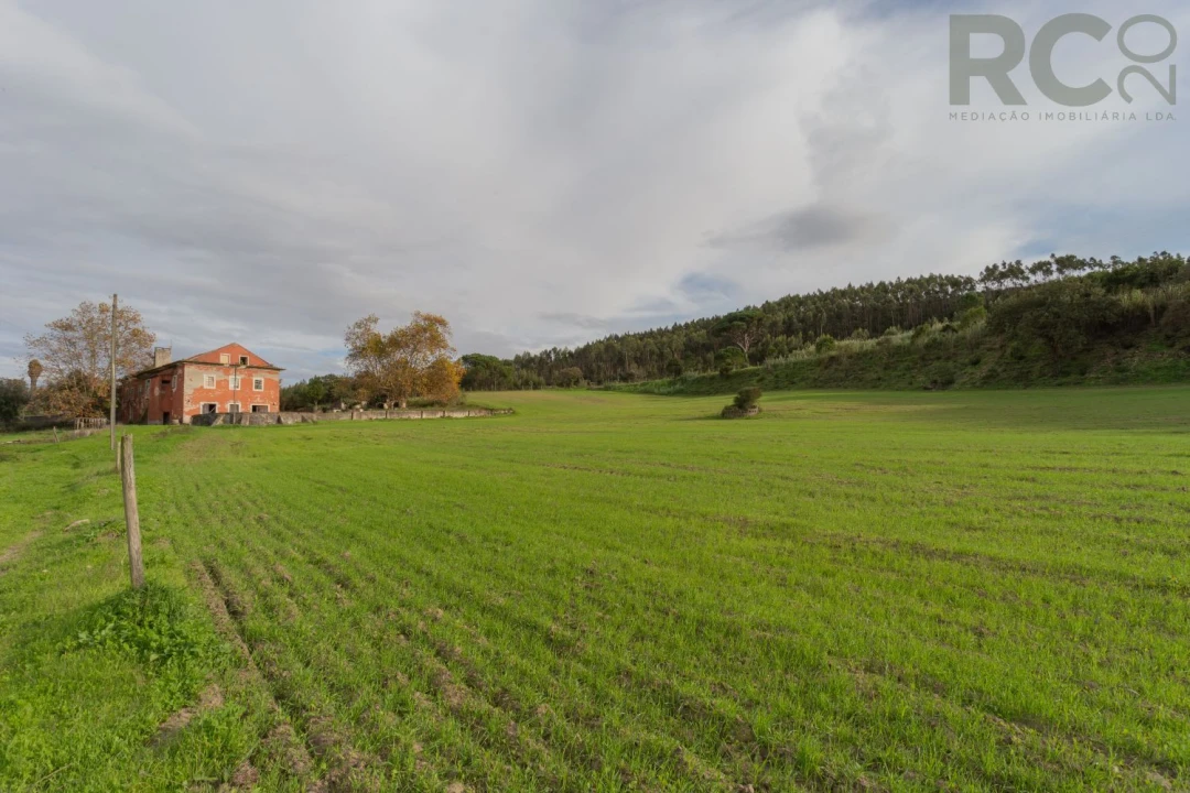 Quinta T0 para Venda em Tavarede Foto 44