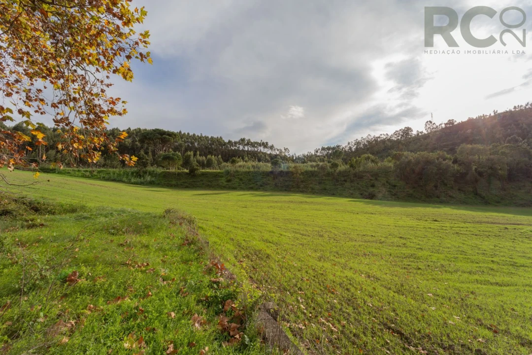 Quinta T0 para Venda em Tavarede Foto 36