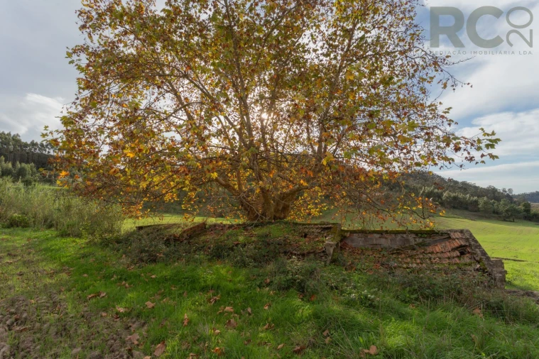 Quinta T0 para Venda em Tavarede Foto 35