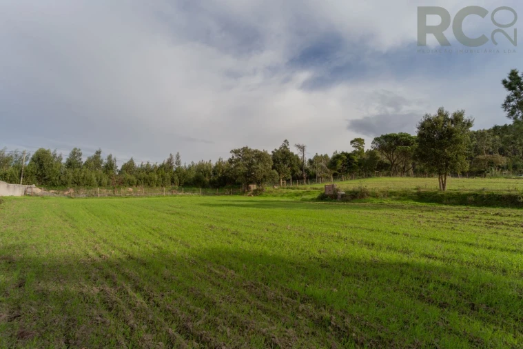 Quinta T0 para Venda em Tavarede Foto 34