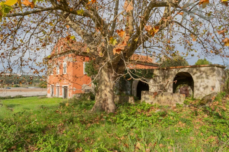 Quinta T0 para Venda em Tavarede Foto 15