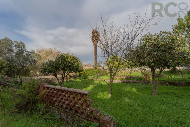 Quinta T0 para Venda em Tavarede Foto 32