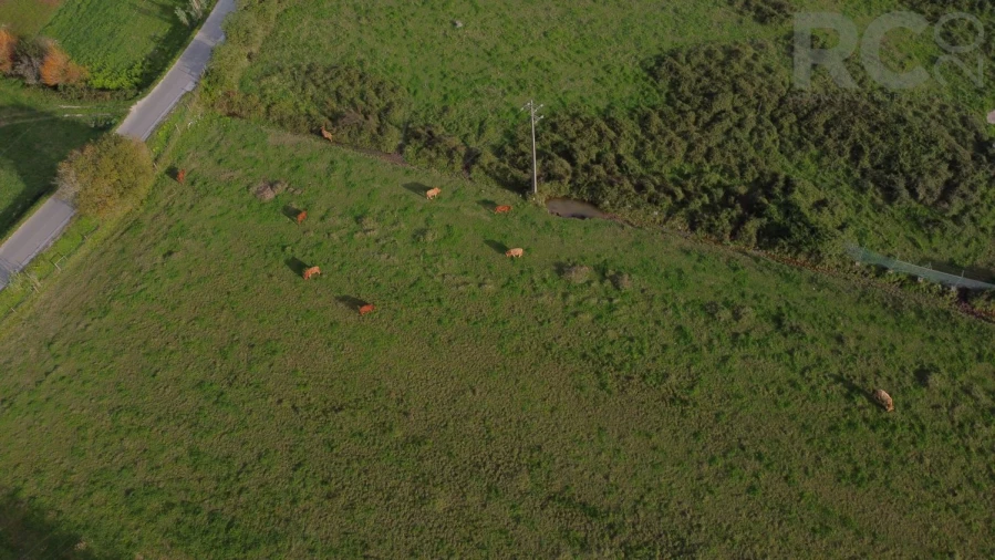 Quinta T0 para Venda em Tavarede Foto 26