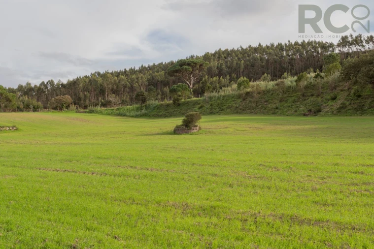 Quinta T0 para Venda em Tavarede Foto 45