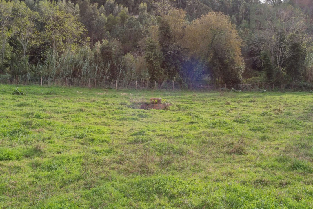 Quinta T0 para Venda em Tavarede Foto 55