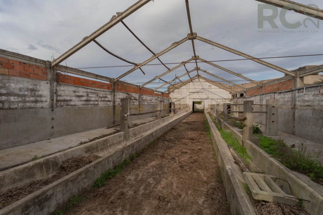 Quinta T0 para Venda em Tavarede Foto 53