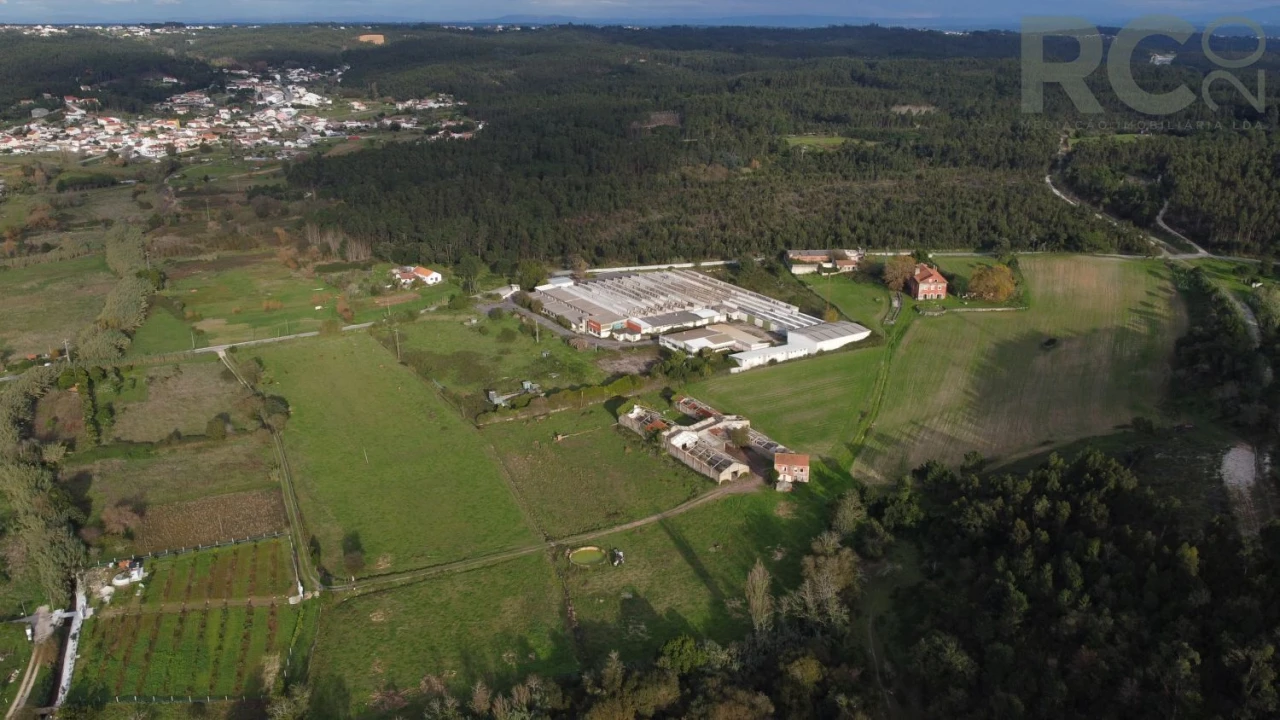 Quinta T0 para Venda em Tavarede Foto 25