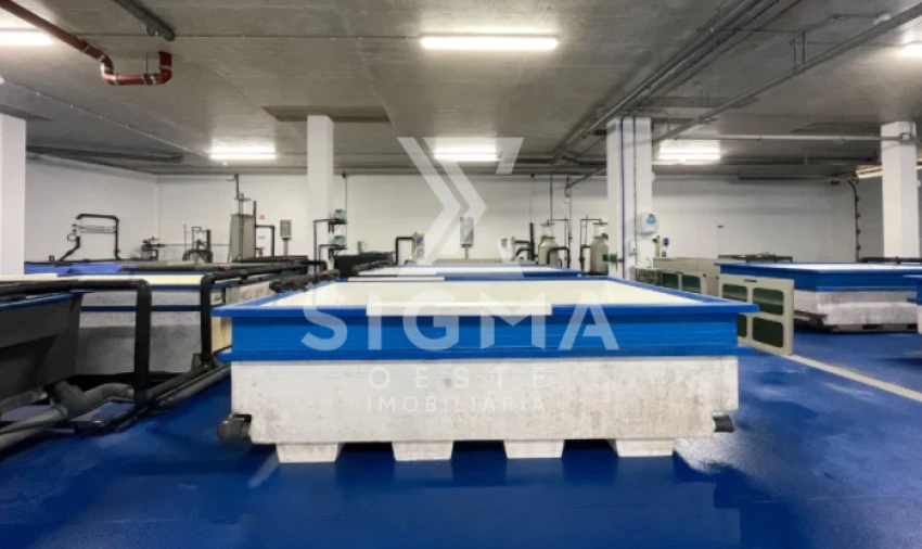 Loja para Venda em Azambujeira e Malaqueijo Foto 13