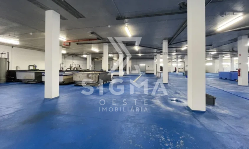 Loja para Venda em Azambujeira e Malaqueijo Foto 12