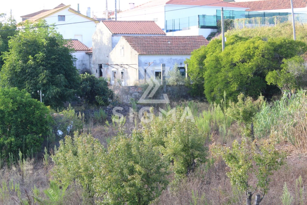 Quinta T4 para Venda em Nossa Senhora do Pópulo, Coto e São Gregório Foto 39