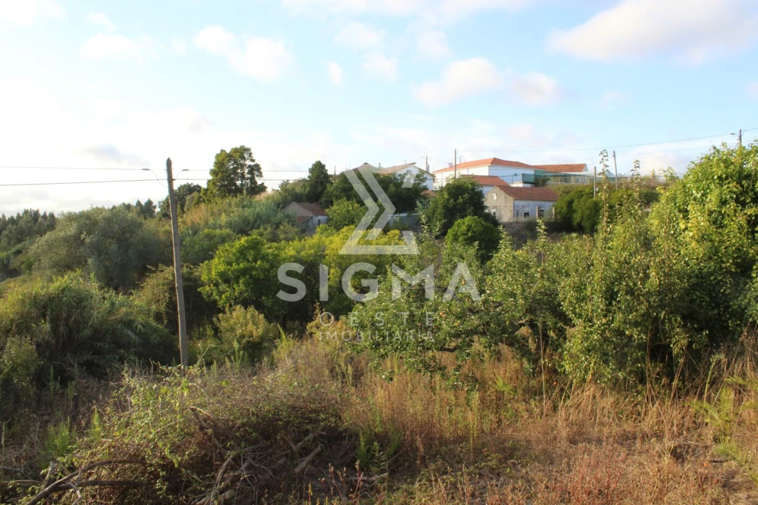 Quinta T4 para Venda em Nossa Senhora do Pópulo, Coto e São Gregório Foto 38