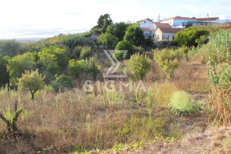 Quinta T4 para Venda em Nossa Senhora do Pópulo, Coto e São Gregório Foto 40