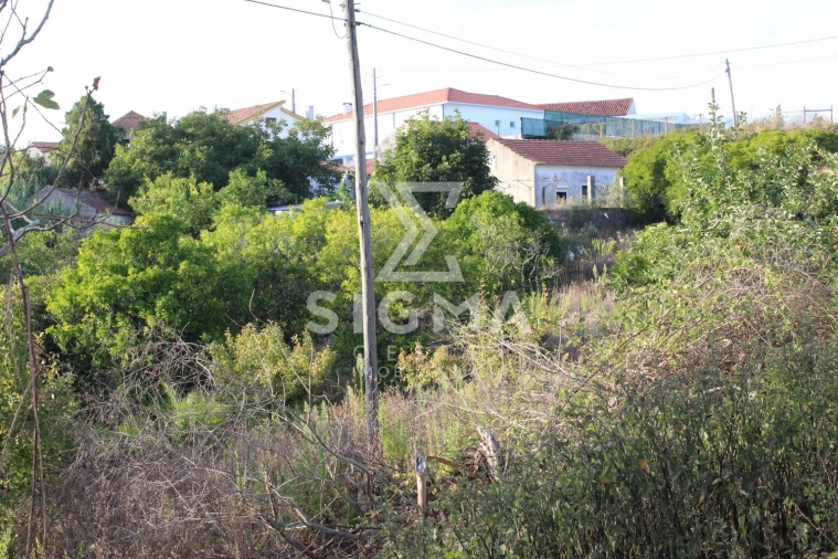 Quinta T4 para Venda em Nossa Senhora do Pópulo, Coto e São Gregório Foto 37