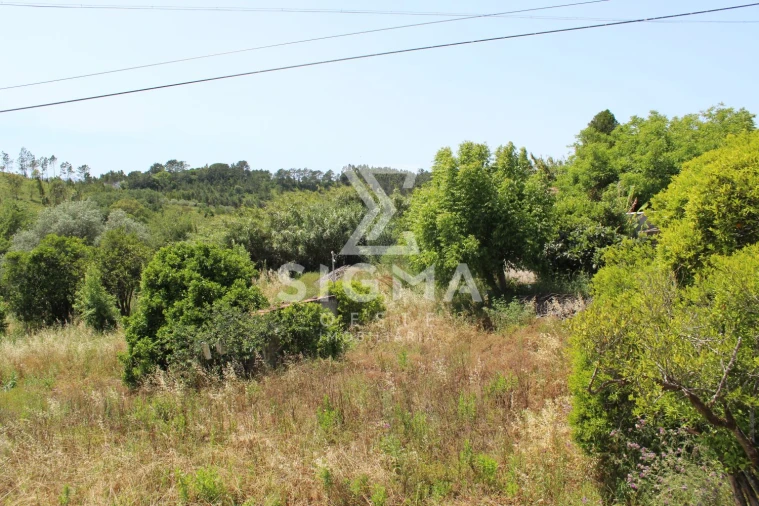 Quinta T4 para Venda em Nossa Senhora do Pópulo, Coto e São Gregório Foto 4