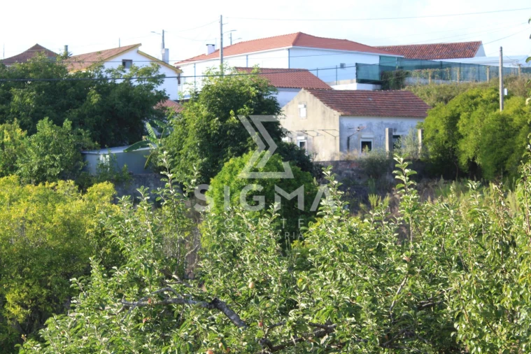 Quinta T4 para Venda em Nossa Senhora do Pópulo, Coto e São Gregório Foto 36