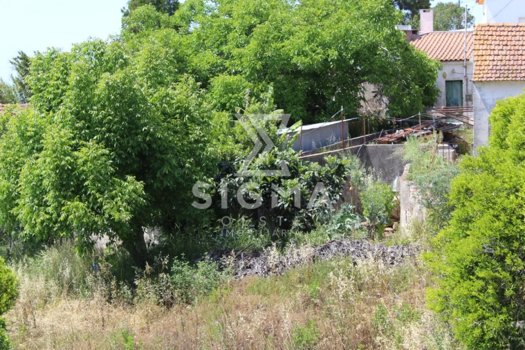 Quinta T4 para Venda em Nossa Senhora do Pópulo, Coto e São Gregório Foto 6