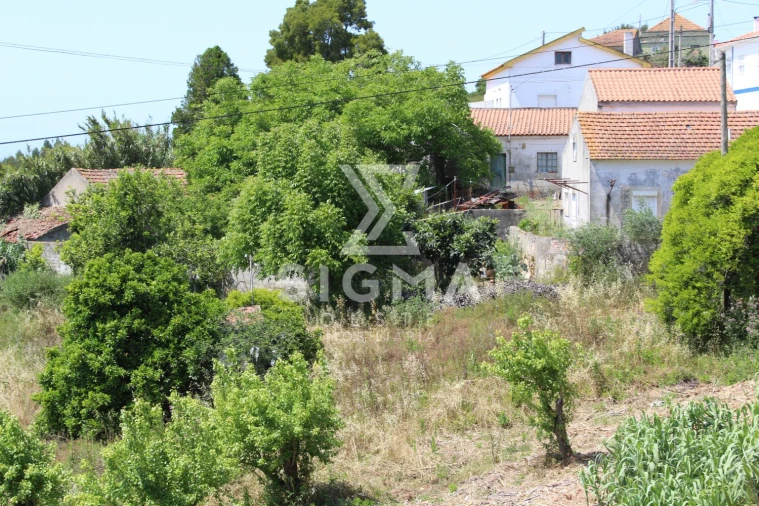 Quinta T4 para Venda em Nossa Senhora do Pópulo, Coto e São Gregório Foto 8