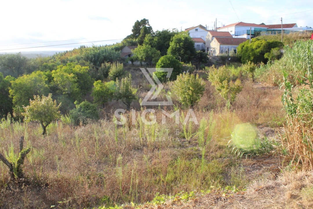 Quinta T4 para Venda em Nossa Senhora do Pópulo, Coto e São Gregório Foto 40