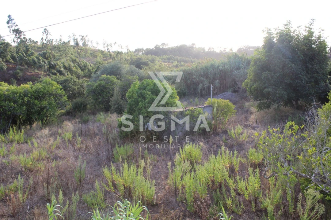 Quinta T4 para Venda em Nossa Senhora do Pópulo, Coto e São Gregório Foto 31