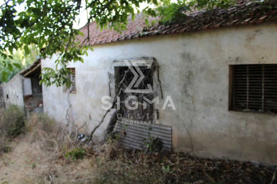 Quinta T4 para Venda em Nossa Senhora do Pópulo, Coto e São Gregório Foto 22