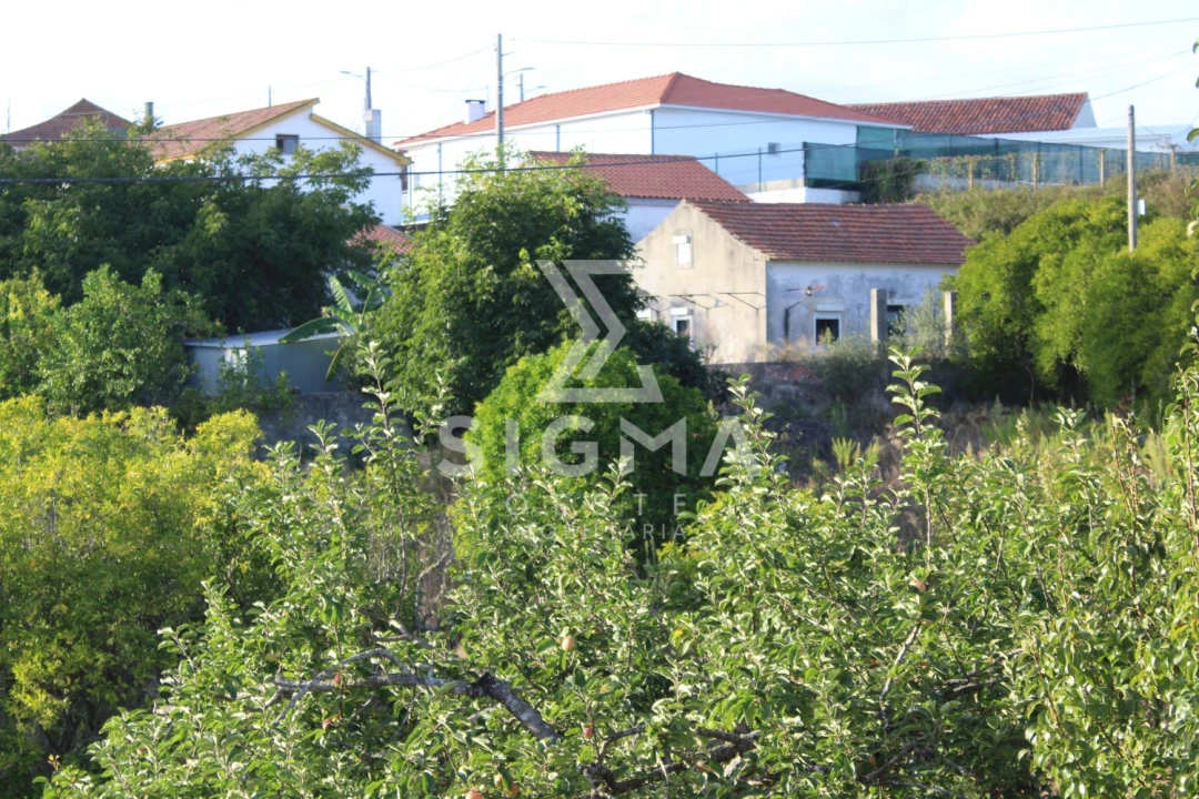 Quinta T4 para Venda em Nossa Senhora do Pópulo, Coto e São Gregório Foto 36