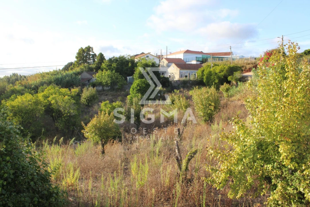 Quinta T4 para Venda em Nossa Senhora do Pópulo, Coto e São Gregório Foto 35