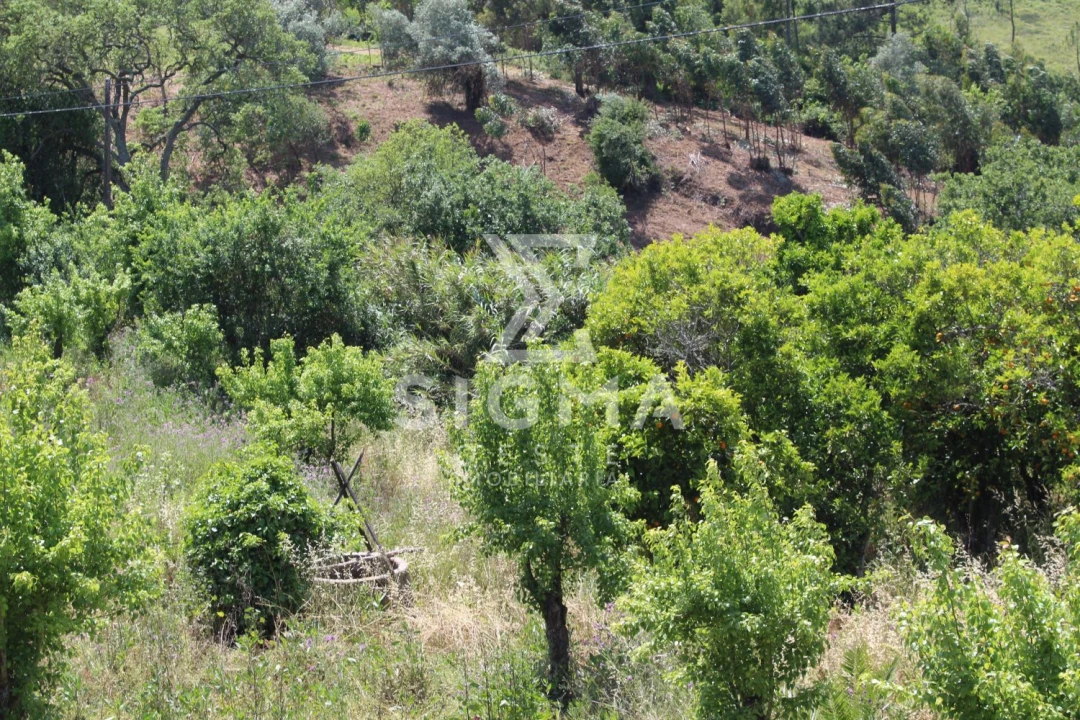 Quinta T4 para Venda em Nossa Senhora do Pópulo, Coto e São Gregório Foto 5