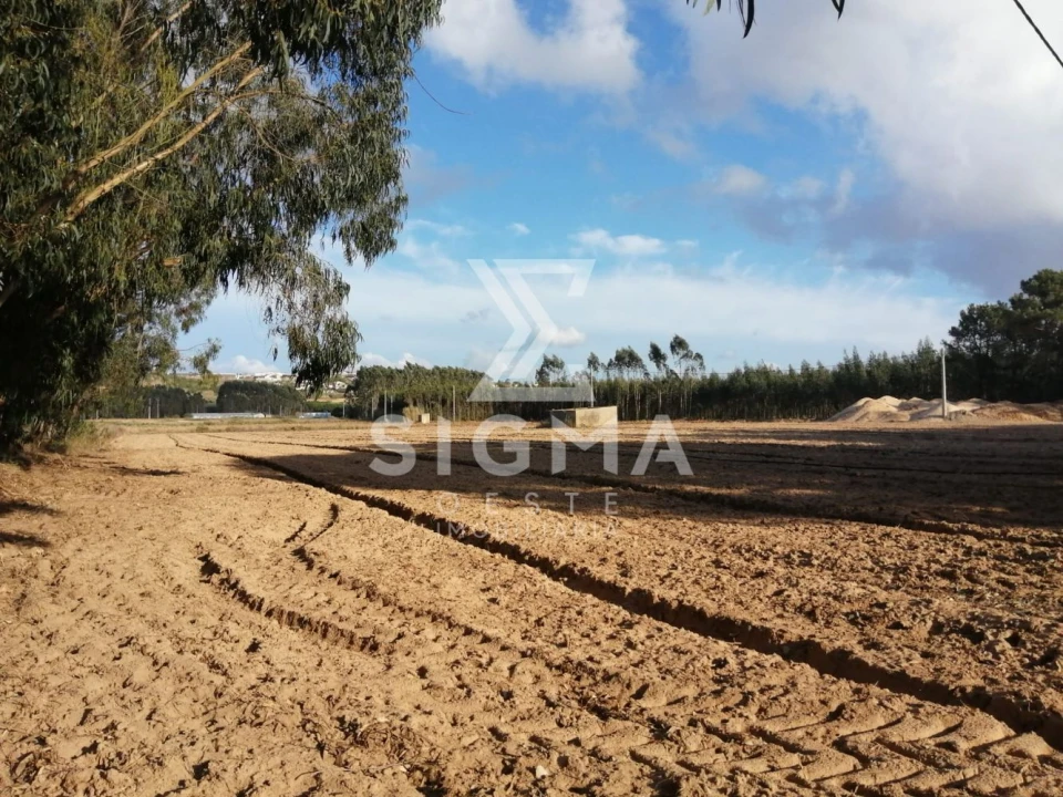 Terreno para Venda em Lourinhã e Atalaia Foto 7