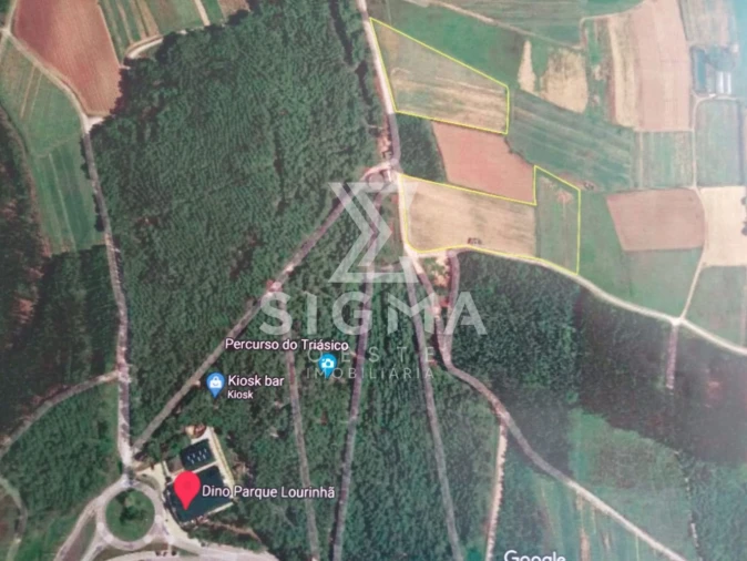 Terreno para Venda em Lourinhã e Atalaia Foto 2