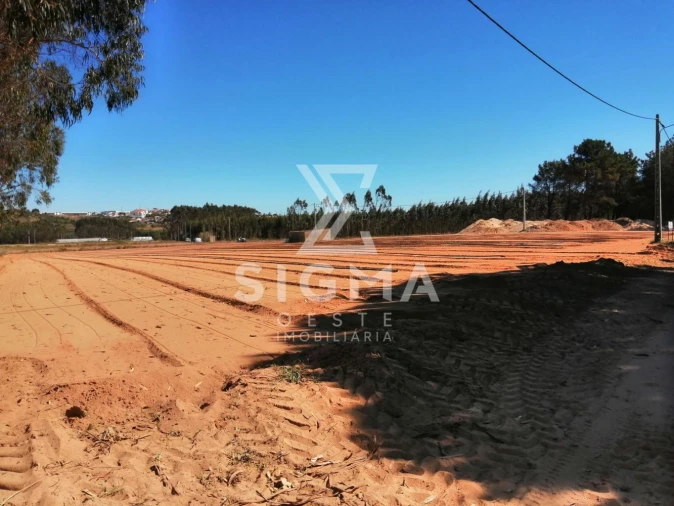 Terreno para Venda em Lourinhã e Atalaia Foto 5
