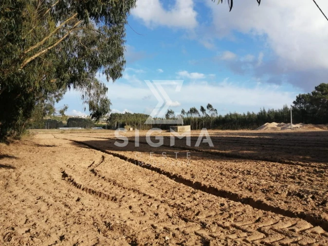 Terreno para Venda em Lourinhã e Atalaia Foto 7