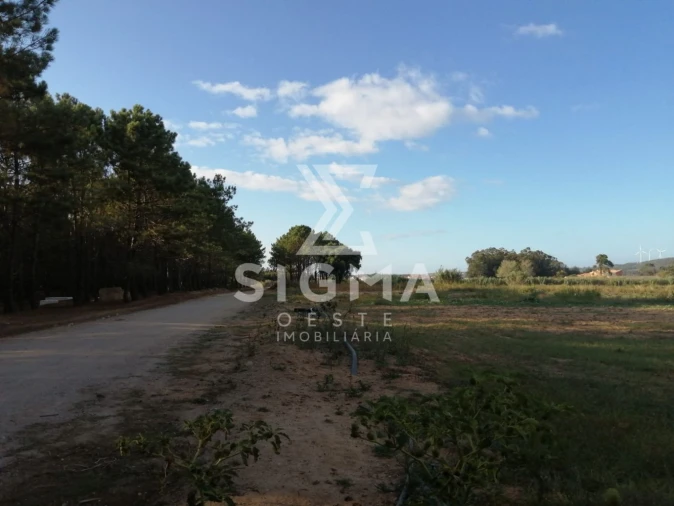 Terreno para Venda em Lourinhã e Atalaia Foto 8