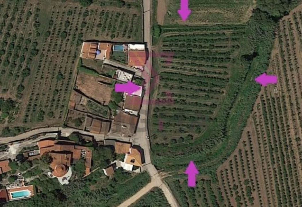 Terreno para Venda em Roliça Foto 1