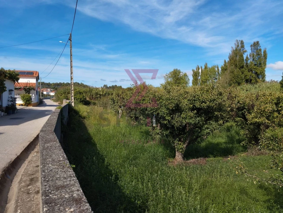 Terreno para Venda em Roliça Foto 5