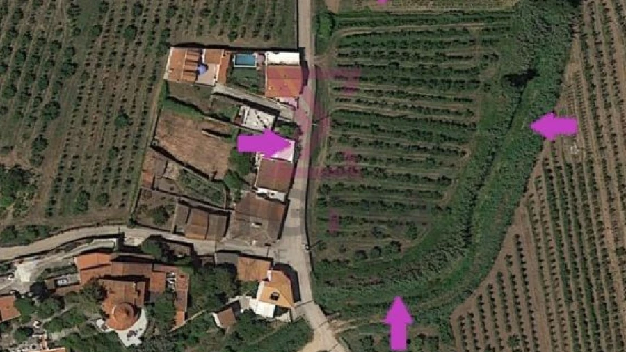 Terreno para Venda em Roliça