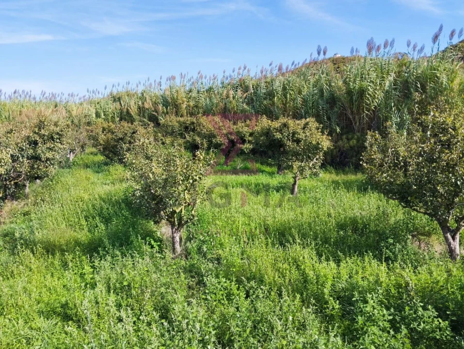 Terreno para Venda em Roliça Foto 6