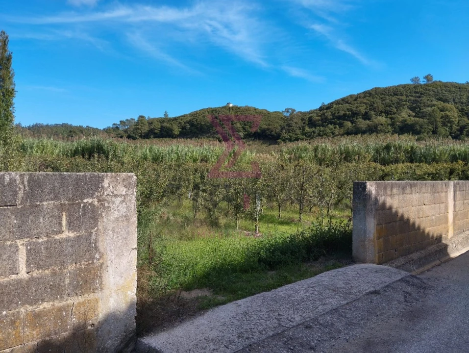 Terreno para Venda em Roliça Foto 4